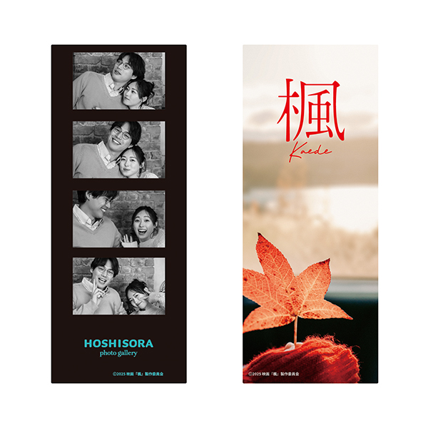 クリアしおりセット(楓)