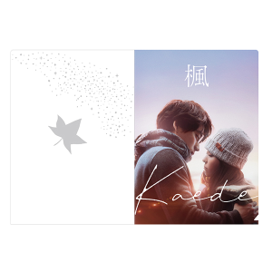 クリアファイル(楓)