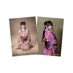 ����u�S���Y�a�� �Q�Q�Q�̓�v�u���}�C�h�Z�b�g ���ꍹ��i���{�P�ށjA