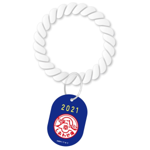 �����킹�� �����C�R�C���L�[�z���_�[�y���ʃ��C�_�[���o�C�X�z�y���ʃ��C�_�[�X�g�A�z